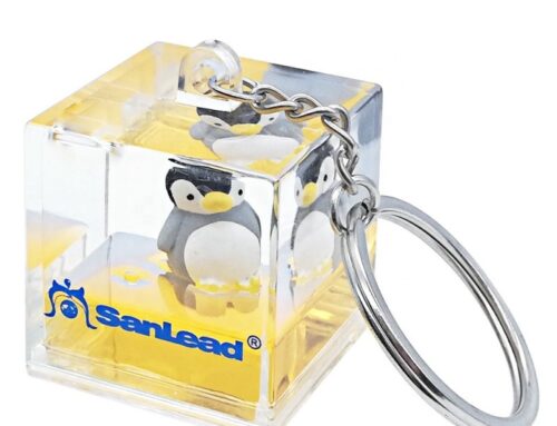 Can You Personalize a Snow Floating Liquid Keychain?