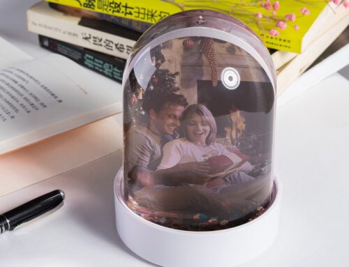 How Can LED Snow Globe Lights Be Used for Holidays and Celebrations?